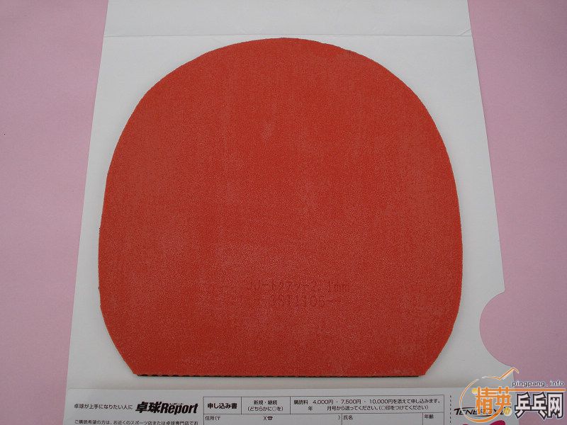 С��а���� ľ���� �������� �հ�YEO �հ�YO40 �հ��������ɭ ʮ��һ�� ���600�����