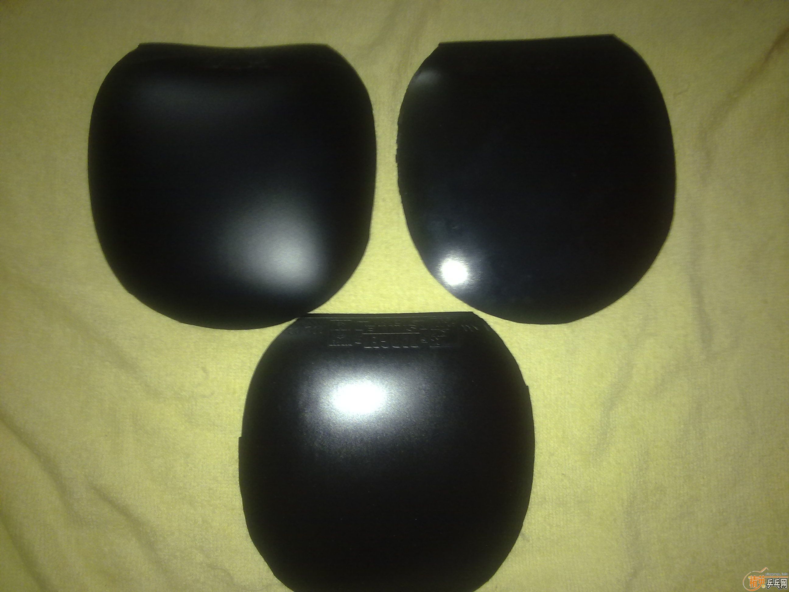 �Żݳ��Ŀ�Ƚ��µ��׽�