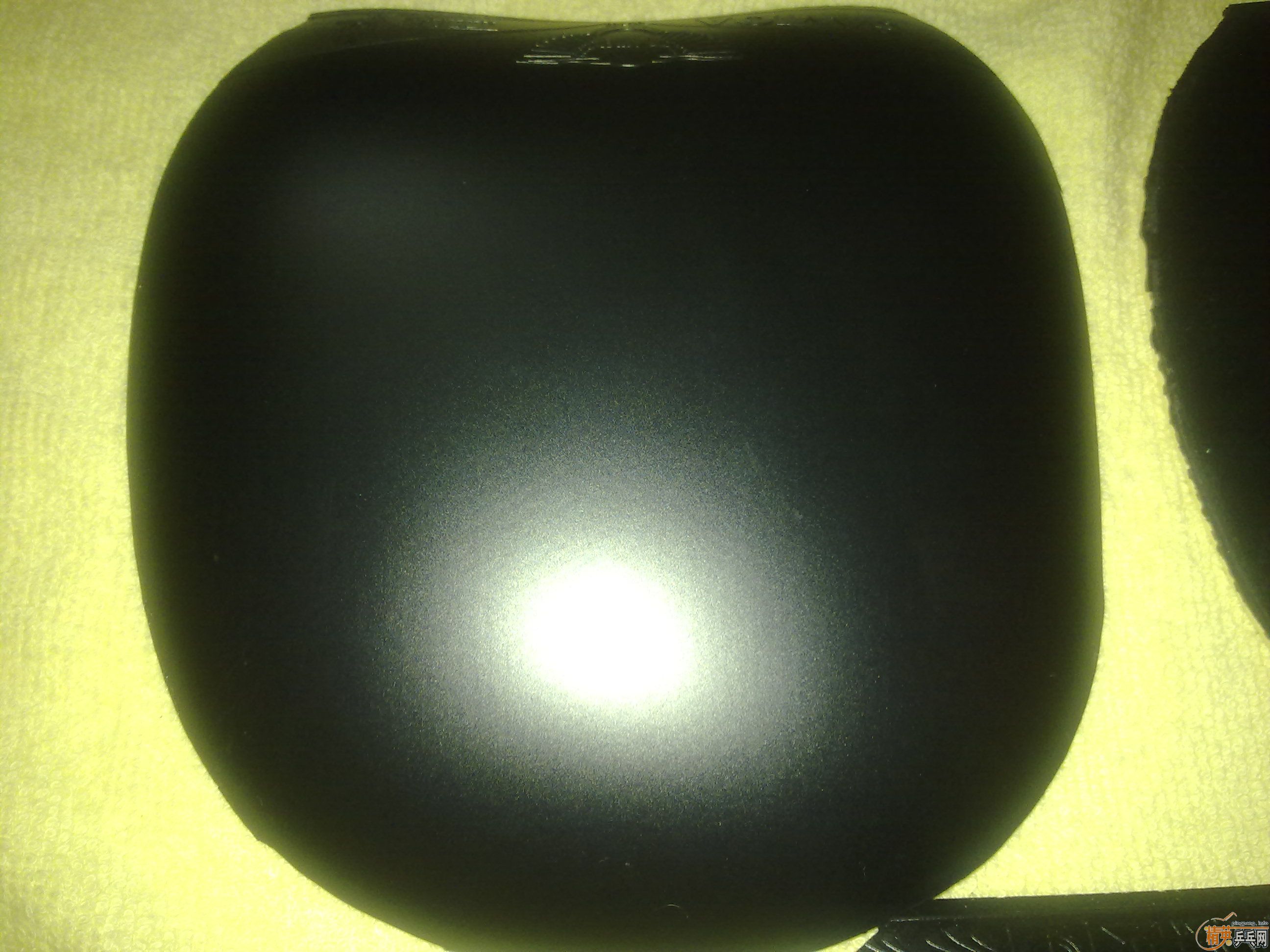 �Żݳ��Ŀ�Ƚ��µ��׽�