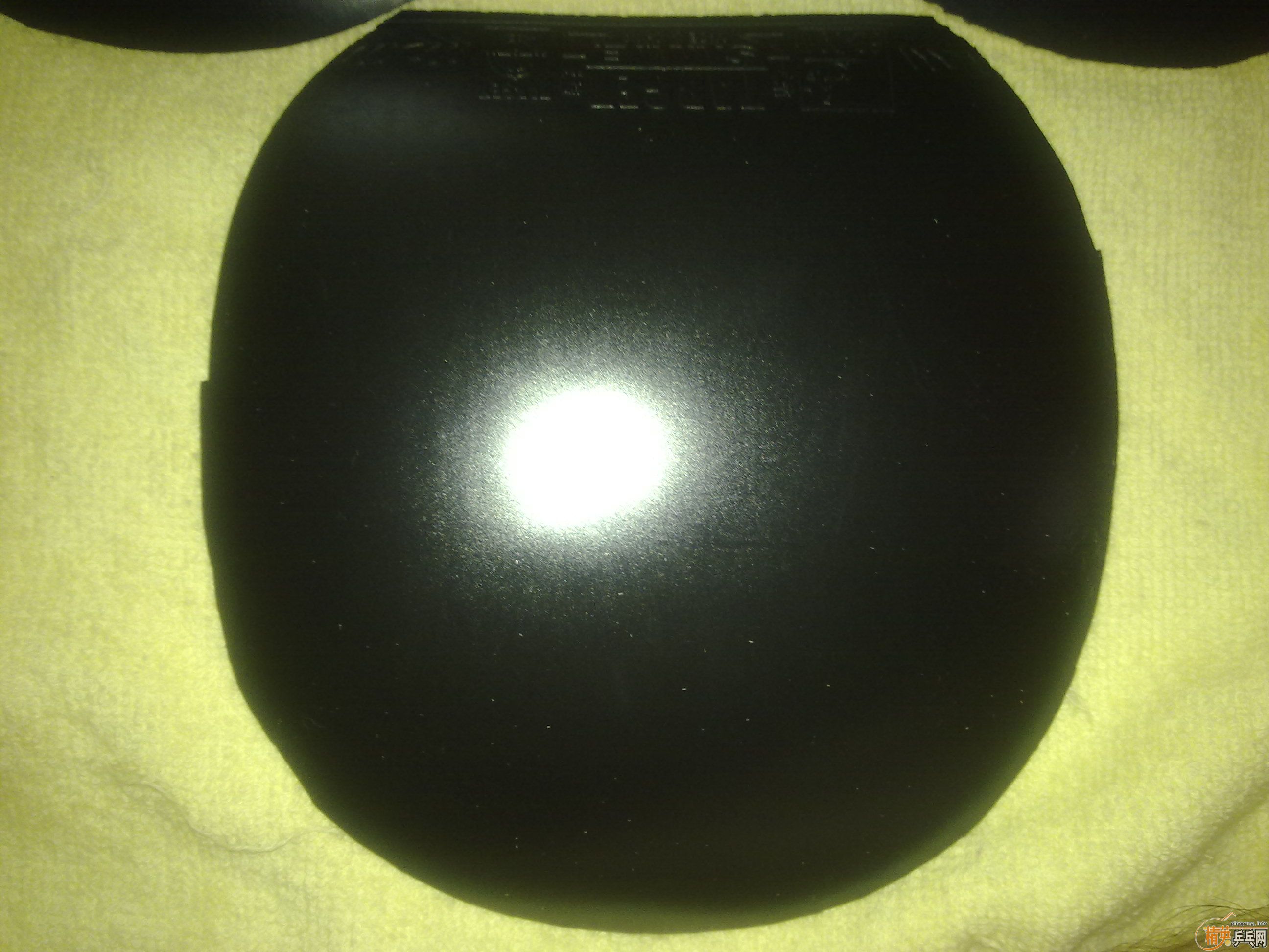 �Żݳ��Ŀ�Ƚ��µ��׽�