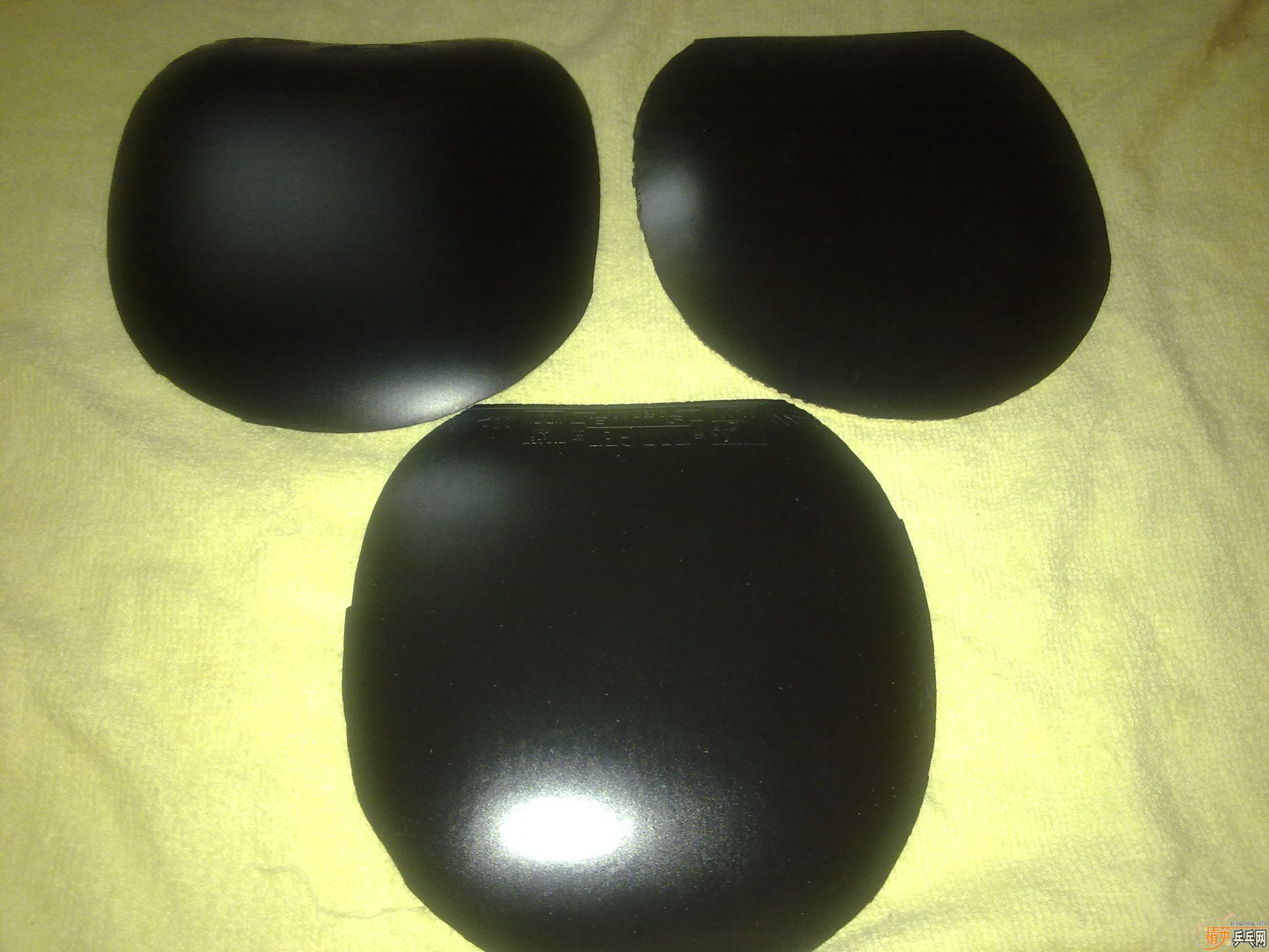 �Żݳ��Ŀ�Ƚ��µ��׽�