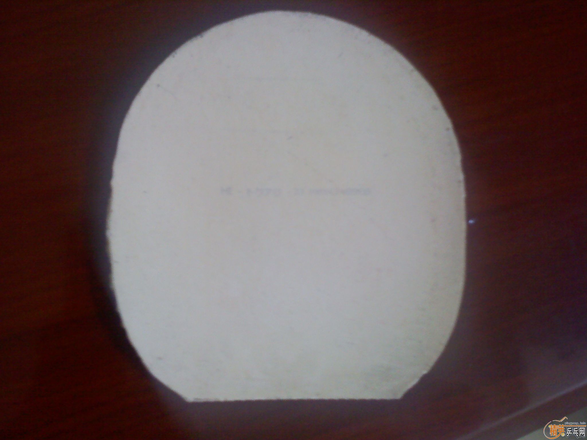 ��9.5�º������SPEED������