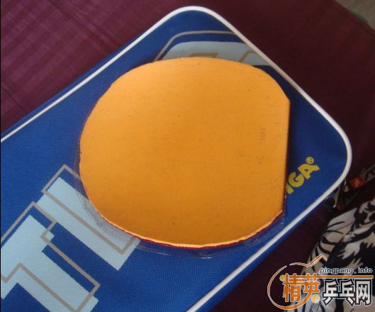 ��������andro kinetic cf light off+�ͺ���sriver��428����