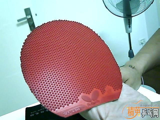 �ٿ���������������