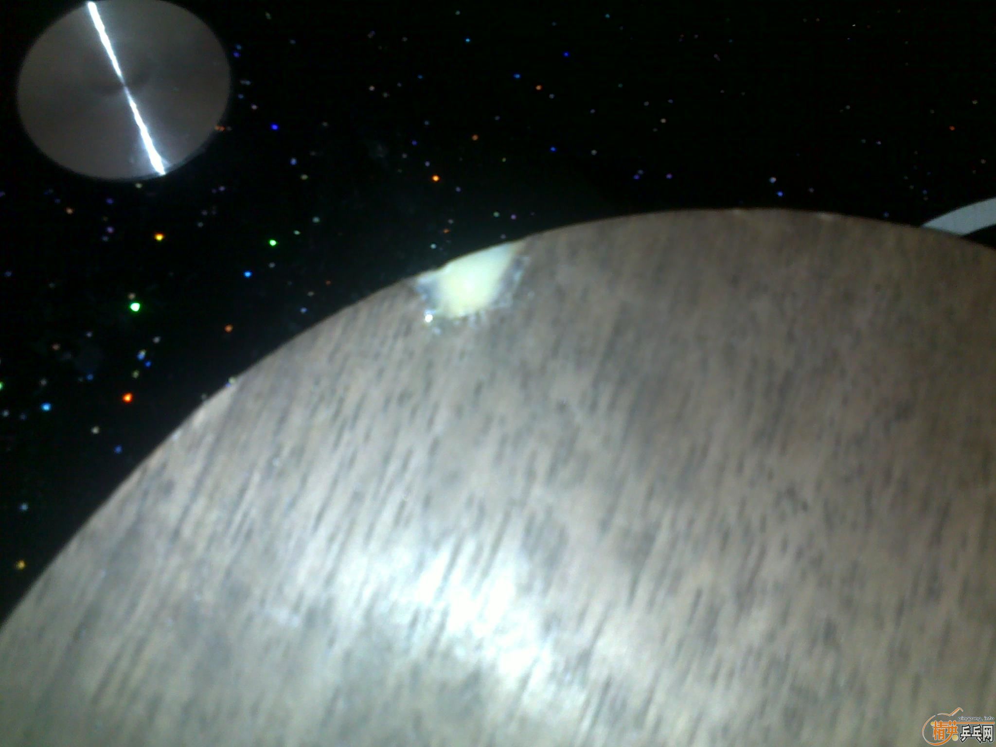 �Ʊ�OC������