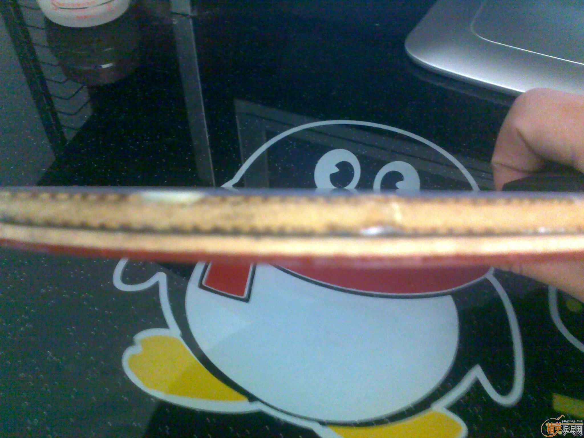 �Ʊ�OC������