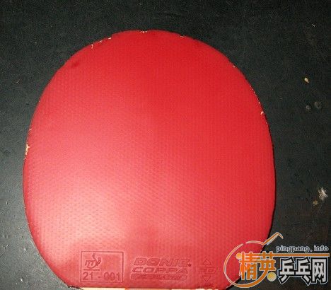 �������� ��̼�л� ���������� ����