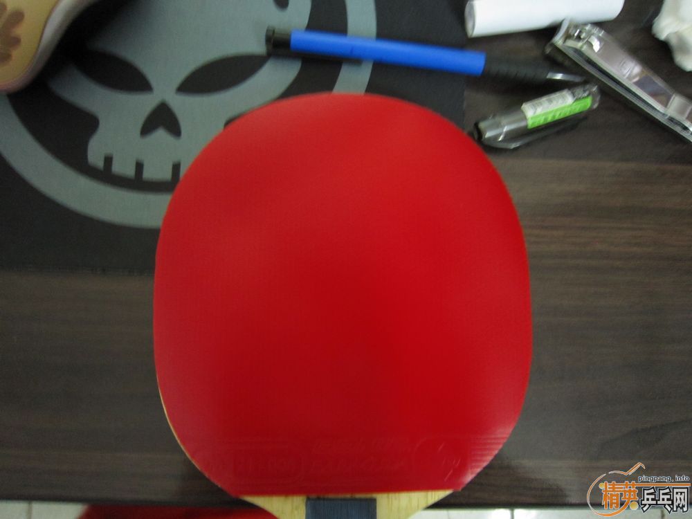 ��������� Donic Baracuda  �켫3 ���3  ����3 �����º���