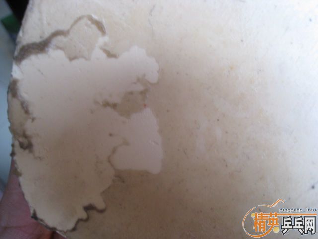 ��һ��������speed