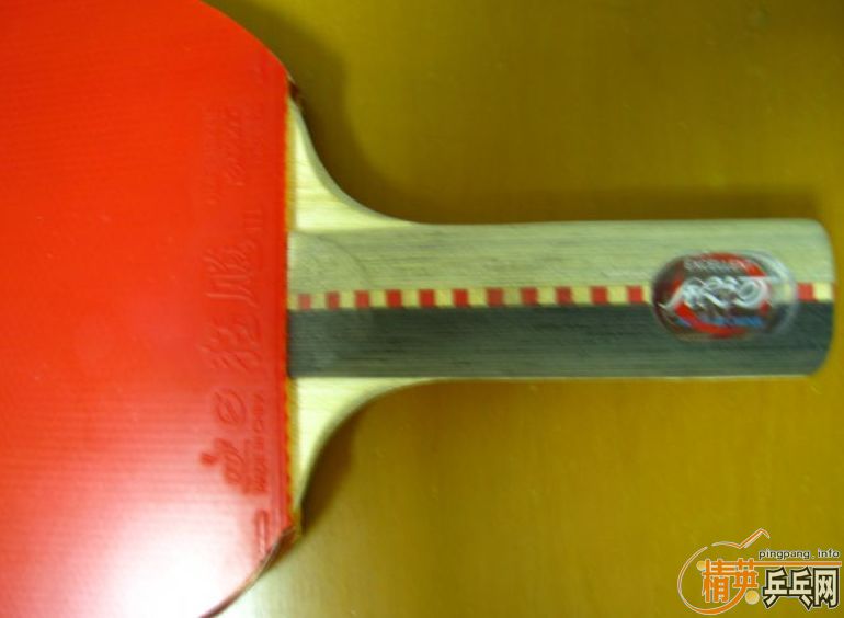 ������2005