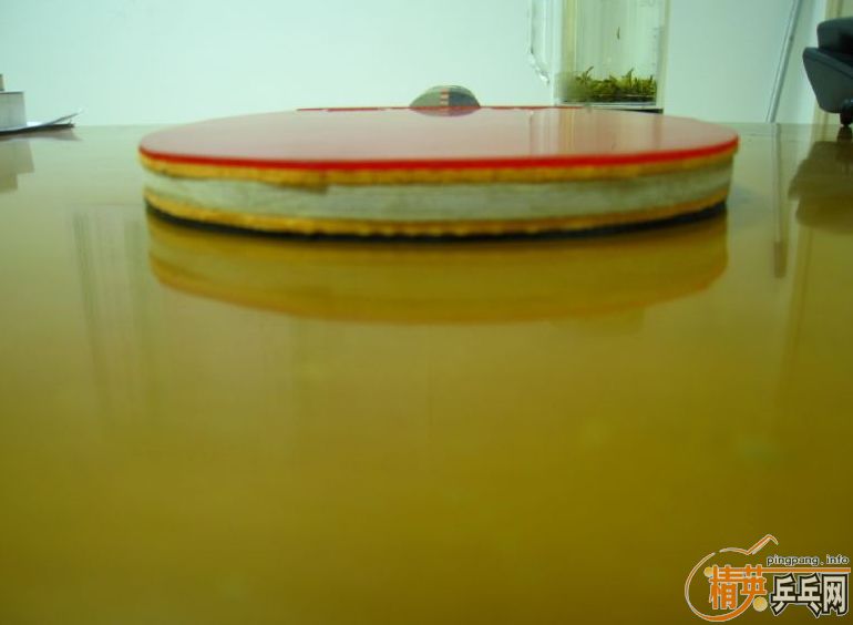 ������2005