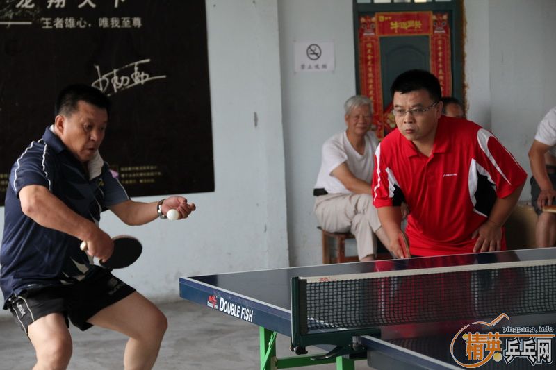 ��Ӣ�����µã�������ƹ������ֲ�˫�������Ƭ�������� ��