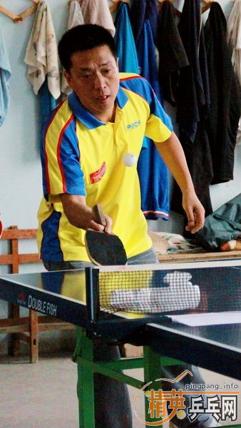 ��Ӣ�����µã�������ƹ������ֲ�˫�������Ƭ������ר��