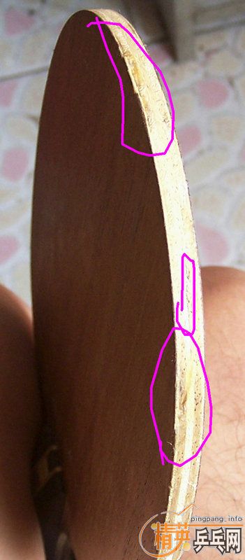 ���������180��Բͨ��DONIC���ְ��ǡ���FL�����