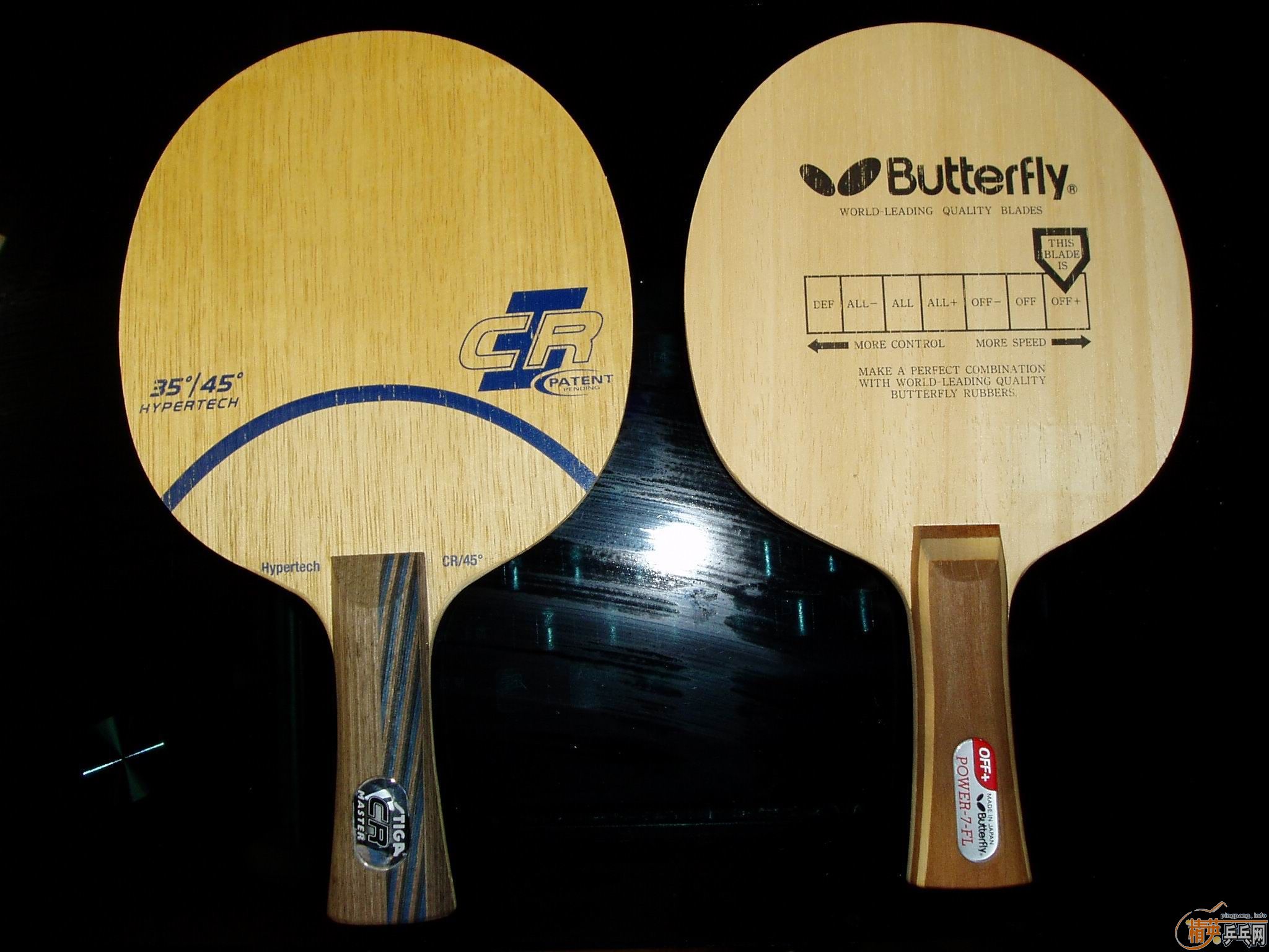 ƹ������