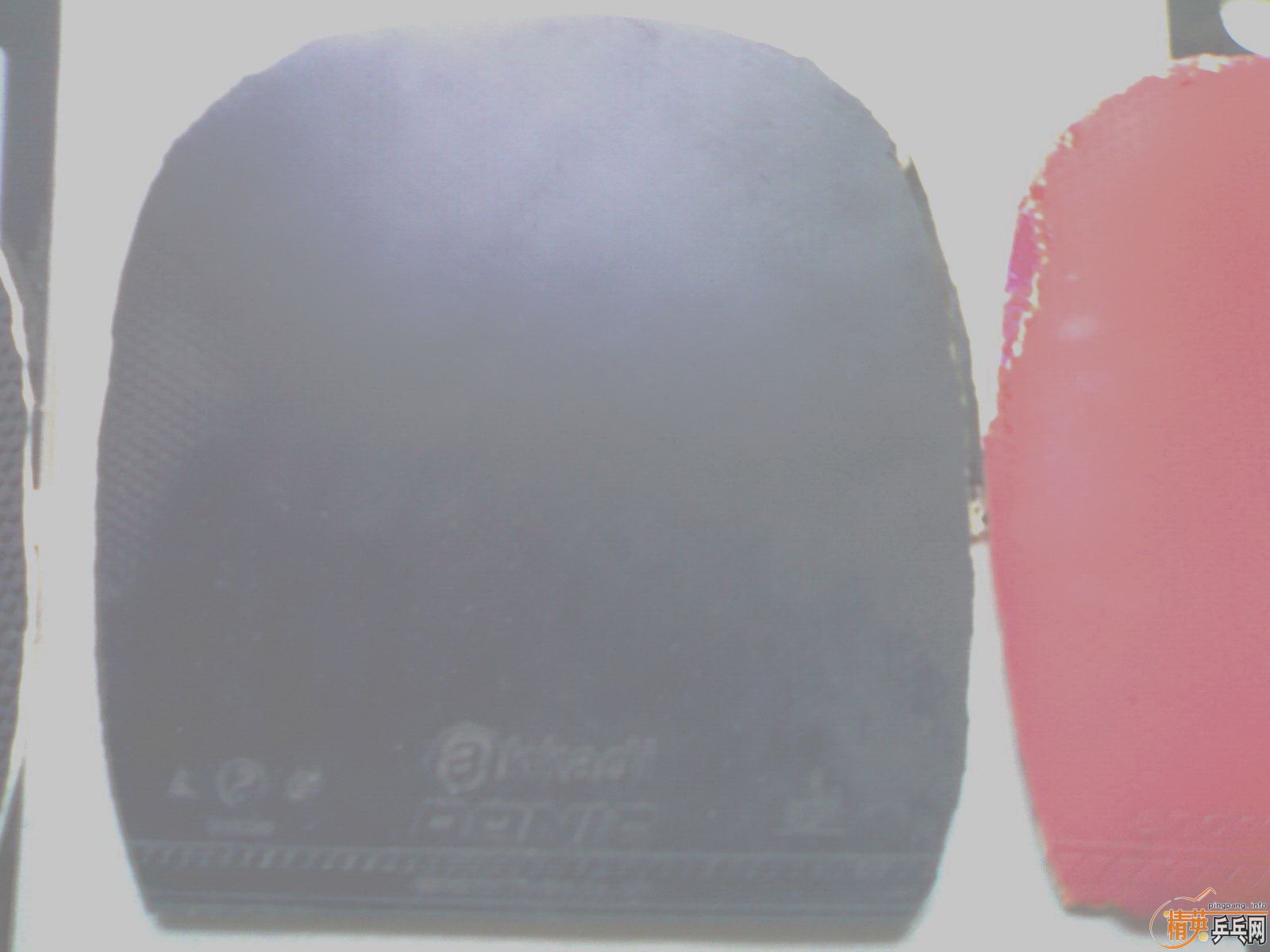 ������ֱ�׽���DONIC̫��+430��30Ԫ����