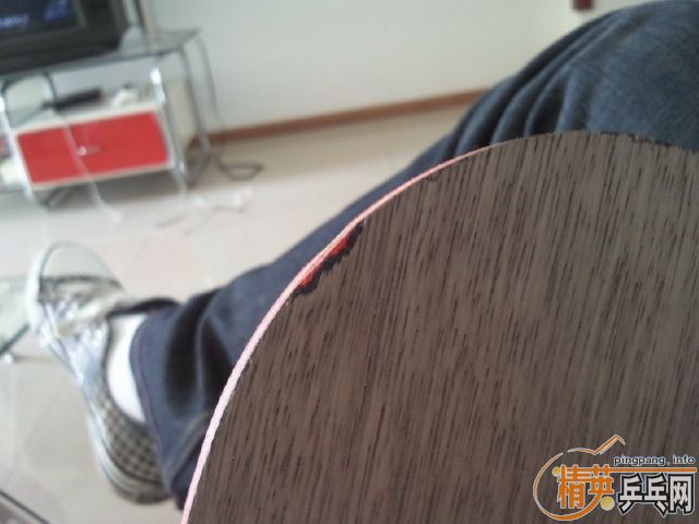 ���³�84��ʵ�ĺ��