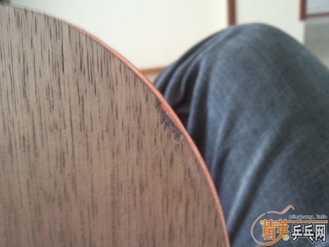 ���³�84��ʵ�ĺ��