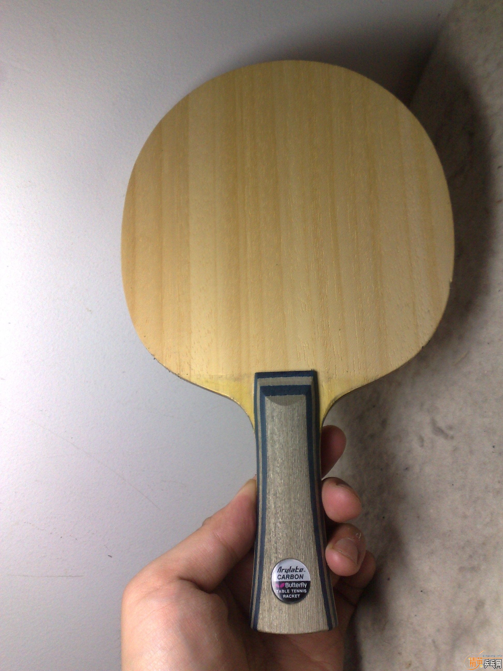 ���׽FL������VISCARIA LIGHT����������