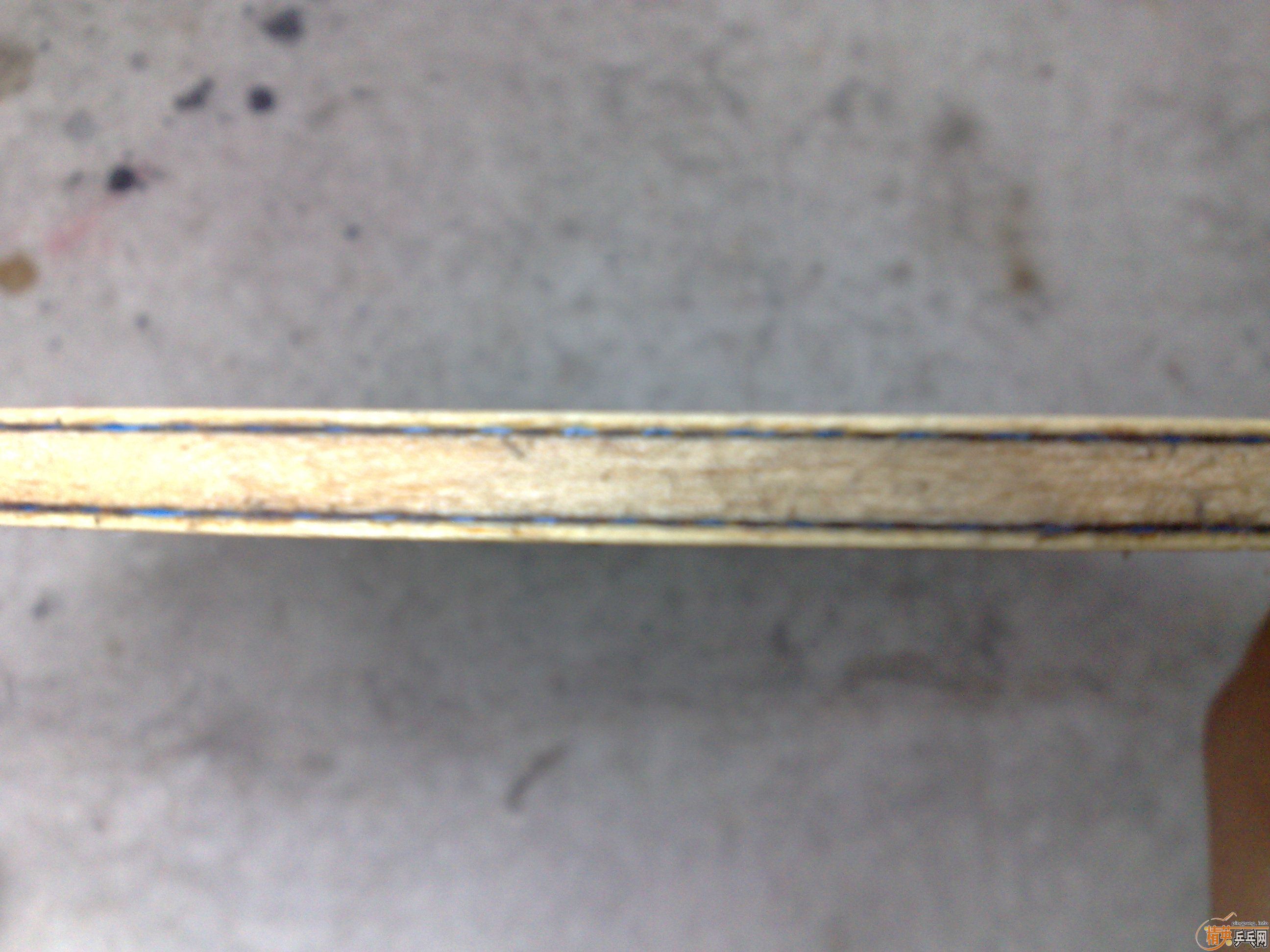 ���׽FL������VISCARIA LIGHT����������