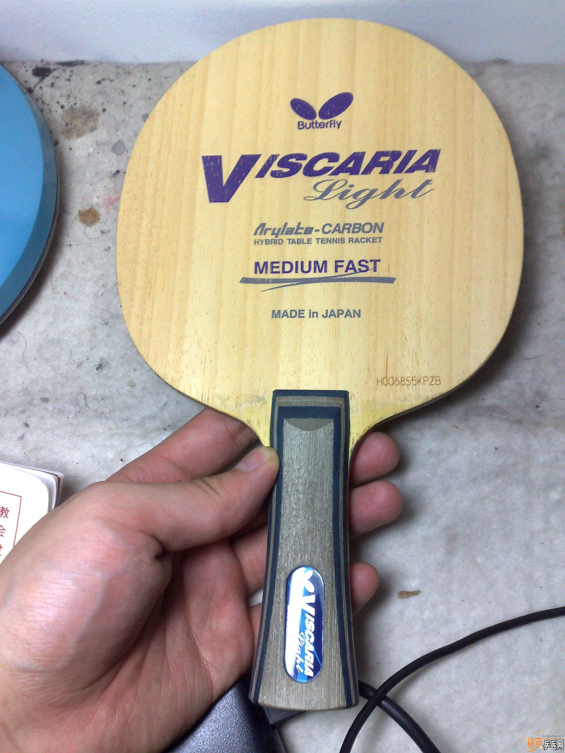 ���׽FL������VISCARIA LIGHT����������