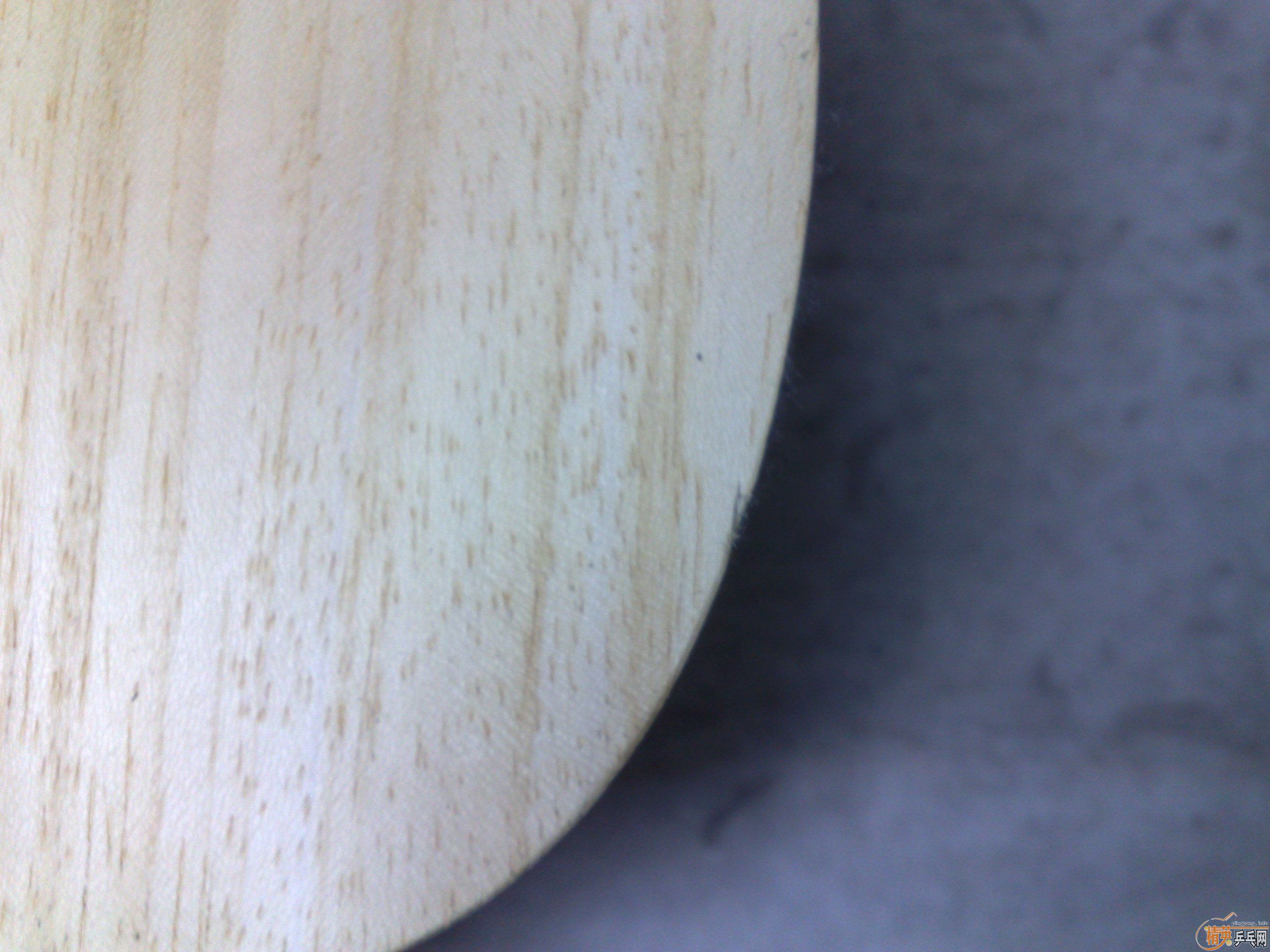 95�׽FL������VISCARIA LIGHT����������