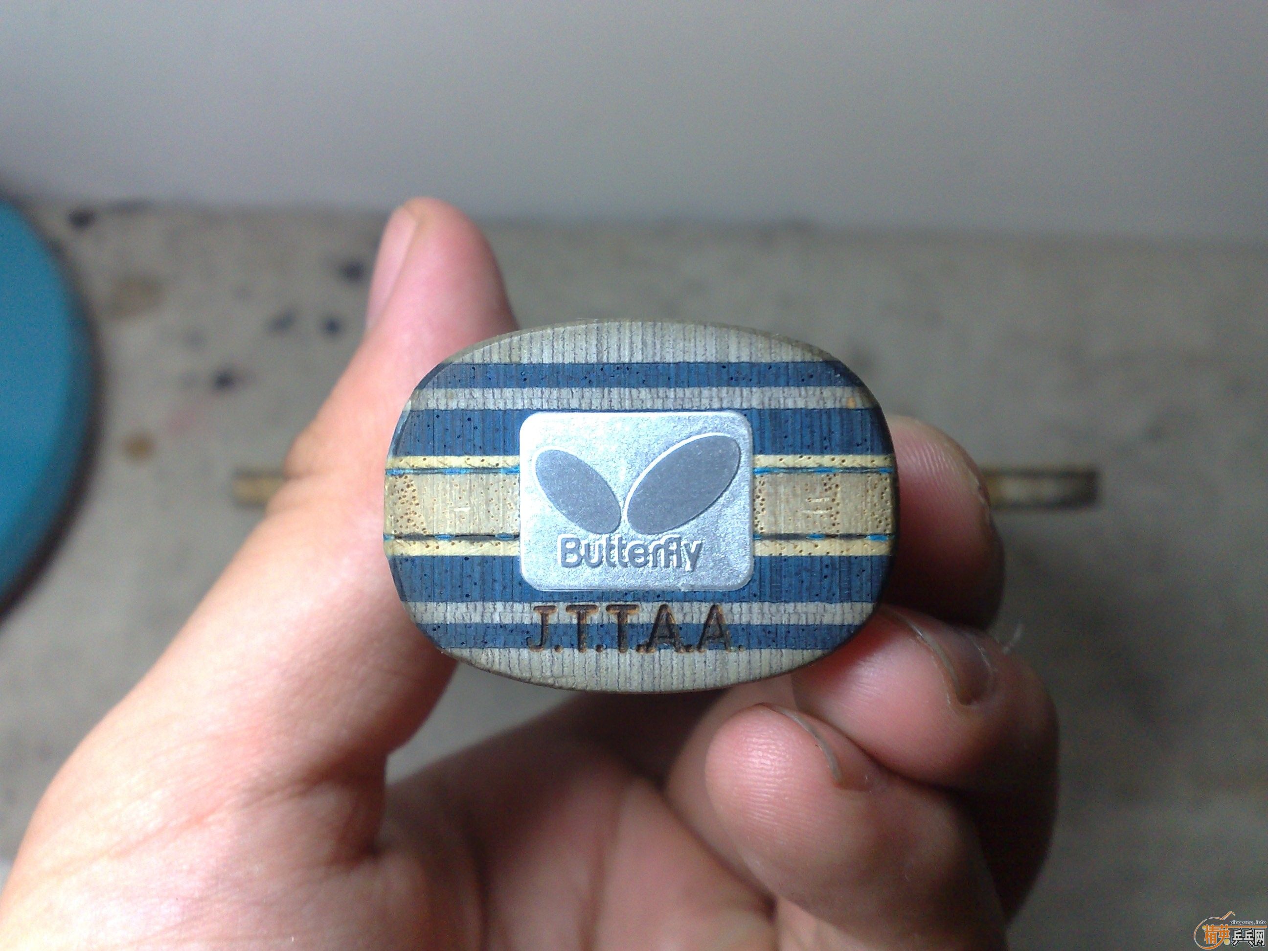 95�׽FL������VISCARIA LIGHT����������