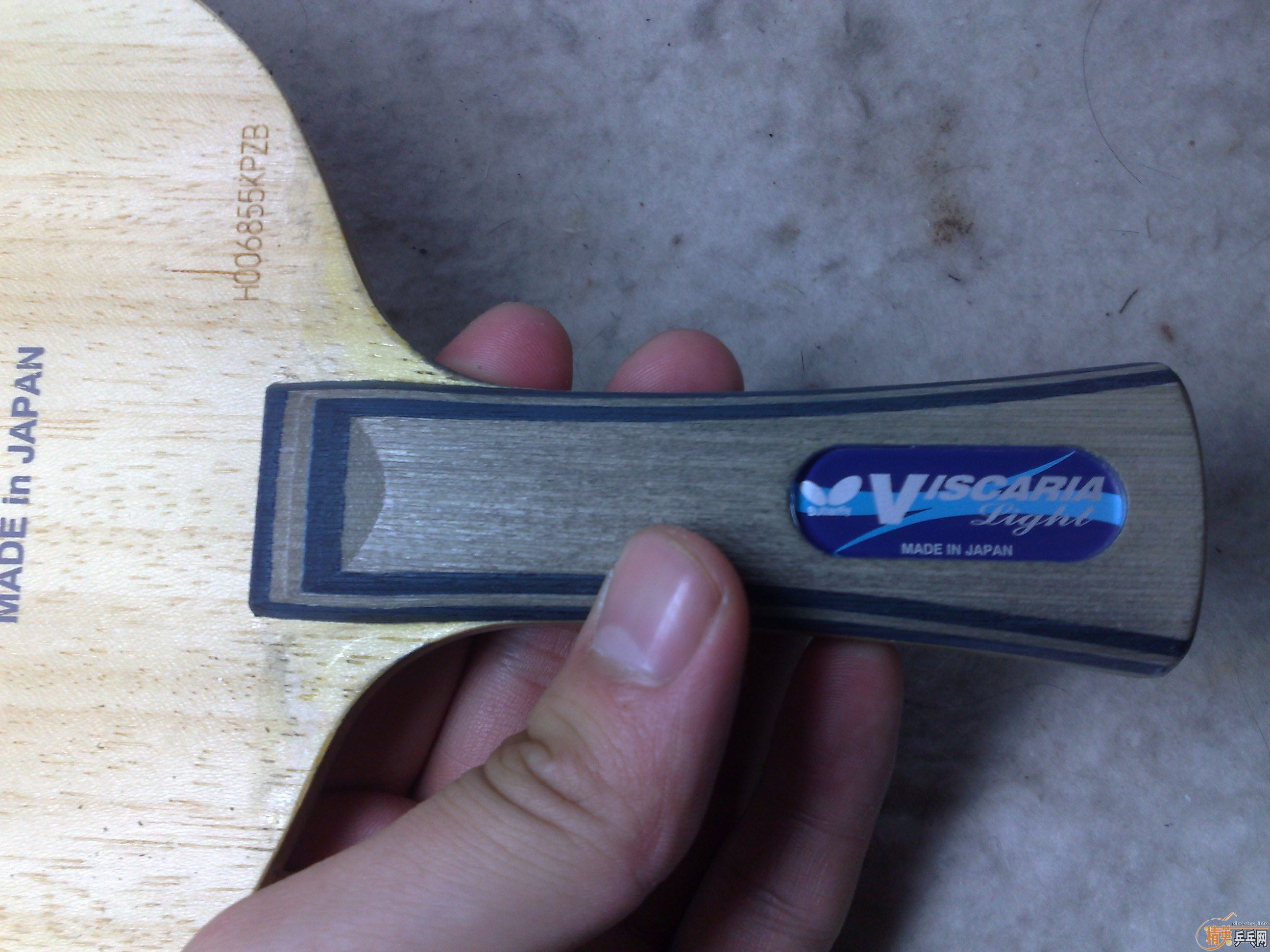 95�׽FL������VISCARIA LIGHT����������