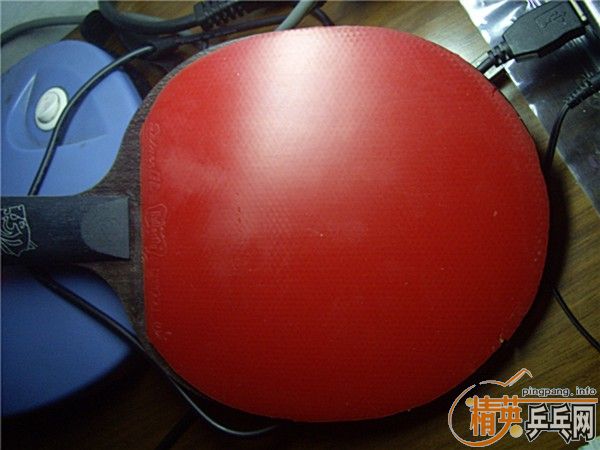 ��֧����45���ʡ�8�º�ɫel~