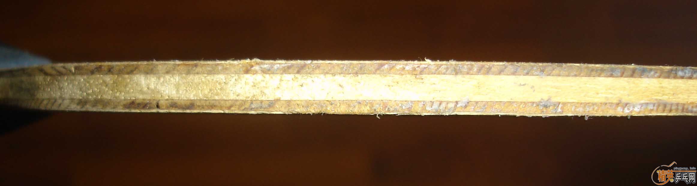 ���л�������ľ���ɺ�˫ϲ��骡�