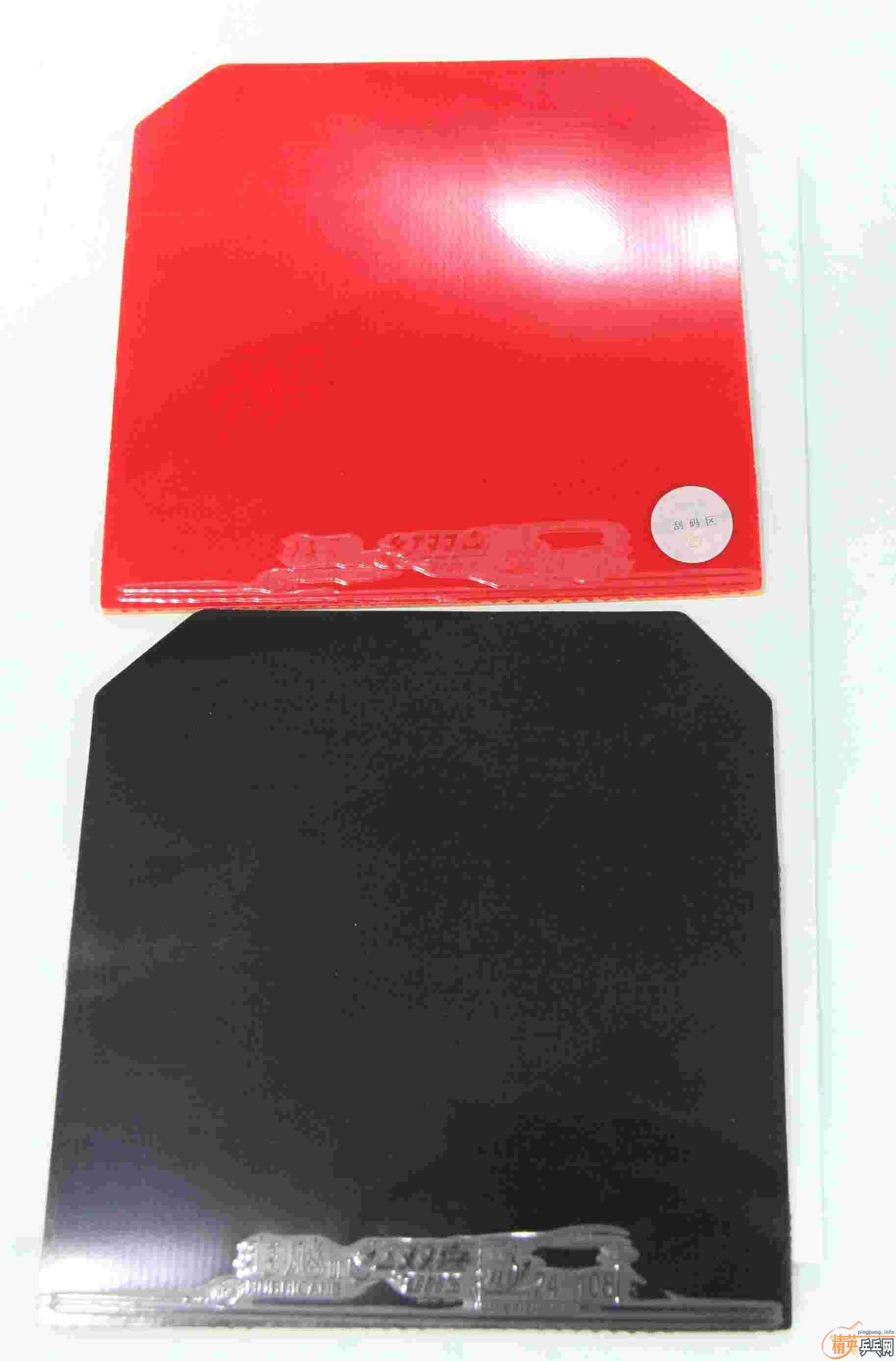 ������ʡ��֧������