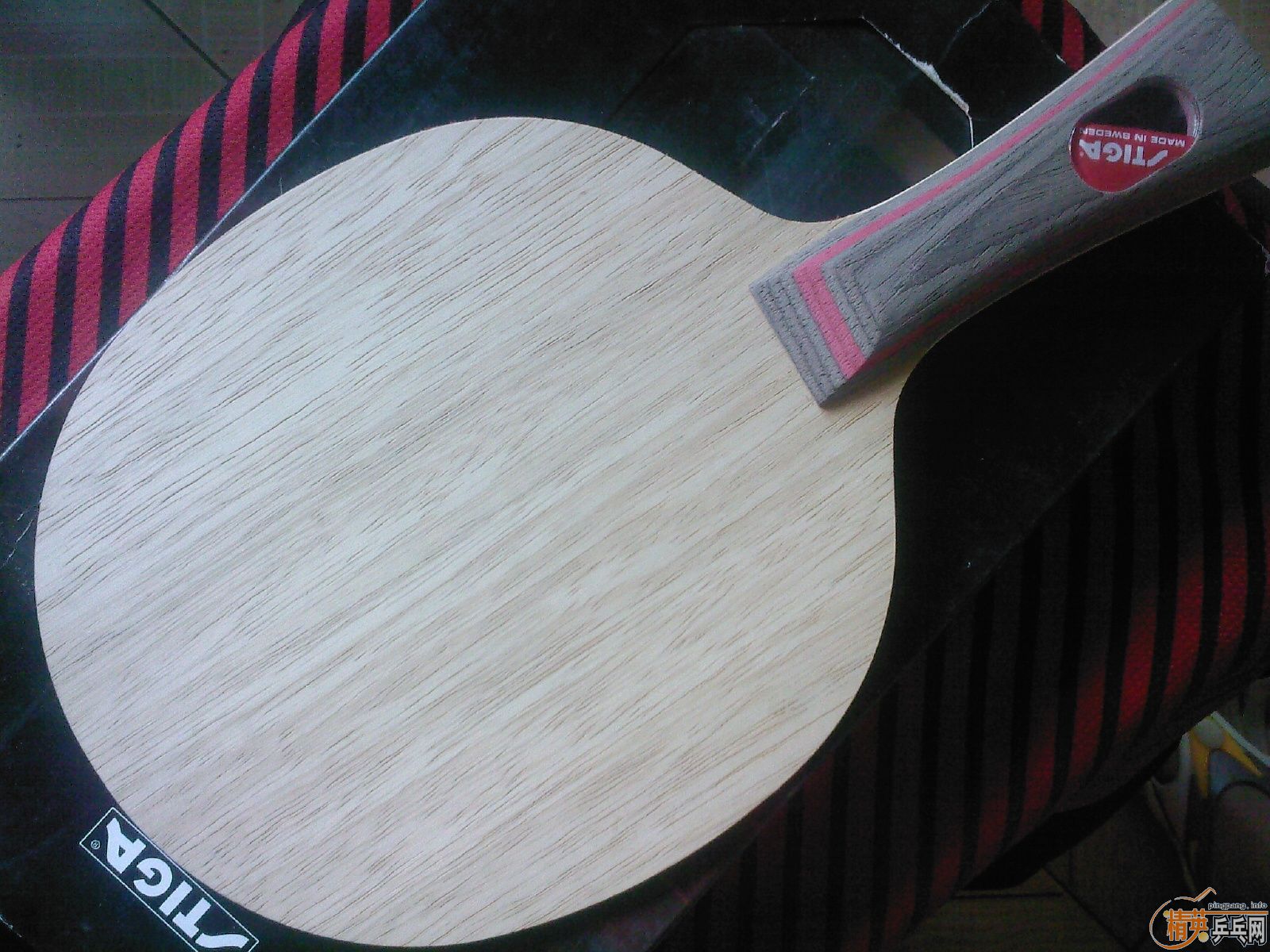 ��ǿ�����������ѻ� �� CL---------------------------������