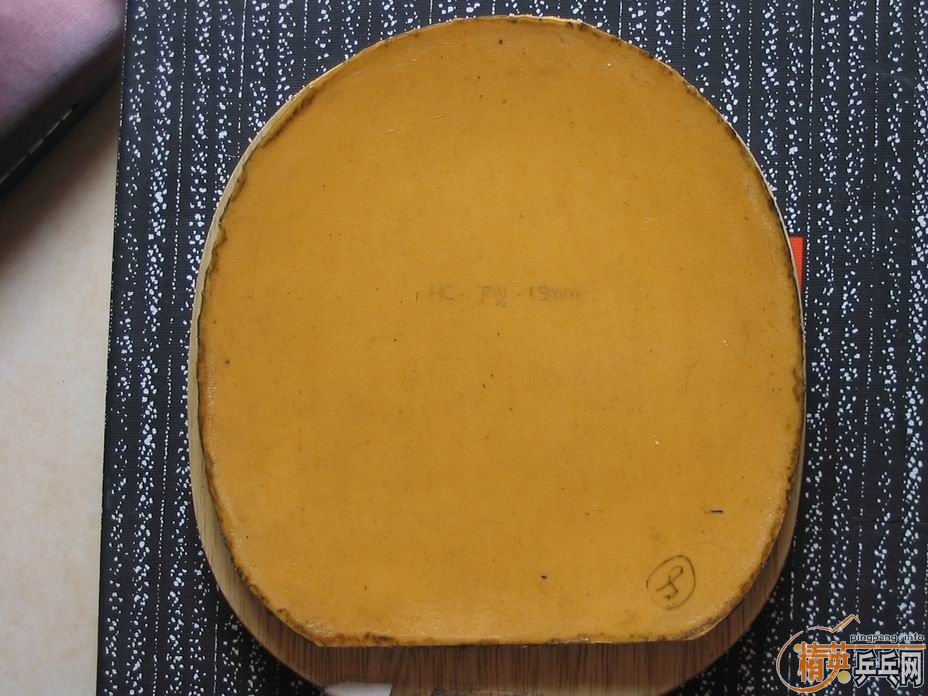 �����������SOLCION ��ɫ�׽�