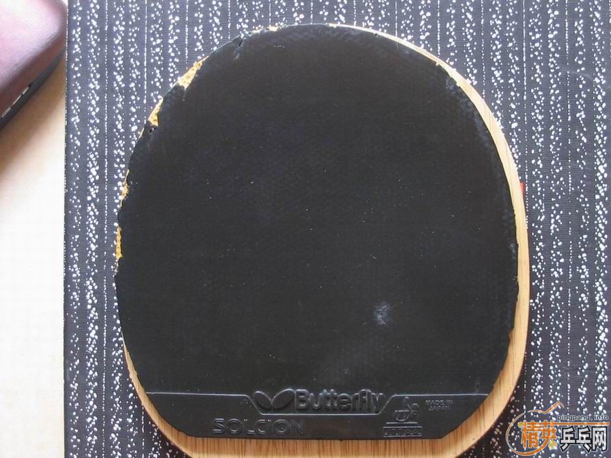 �����������SOLCION ��ɫ�׽�