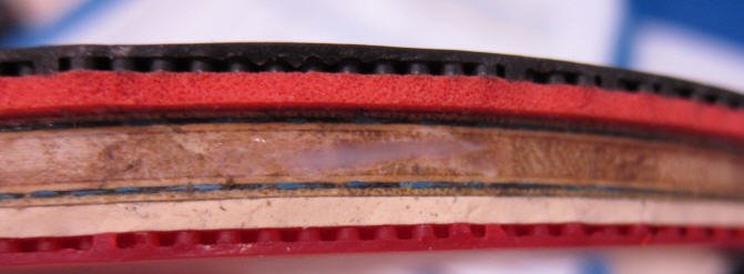 �� ALC �� ��ɫT05 ������ͼƬ�����Ӵ�ֹ��