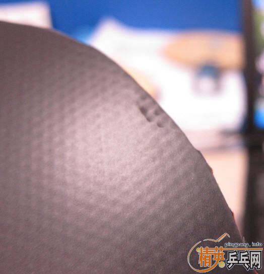 �� ALC �� ��ɫT05 ������ͼƬ�����Ӵ�ֹ��