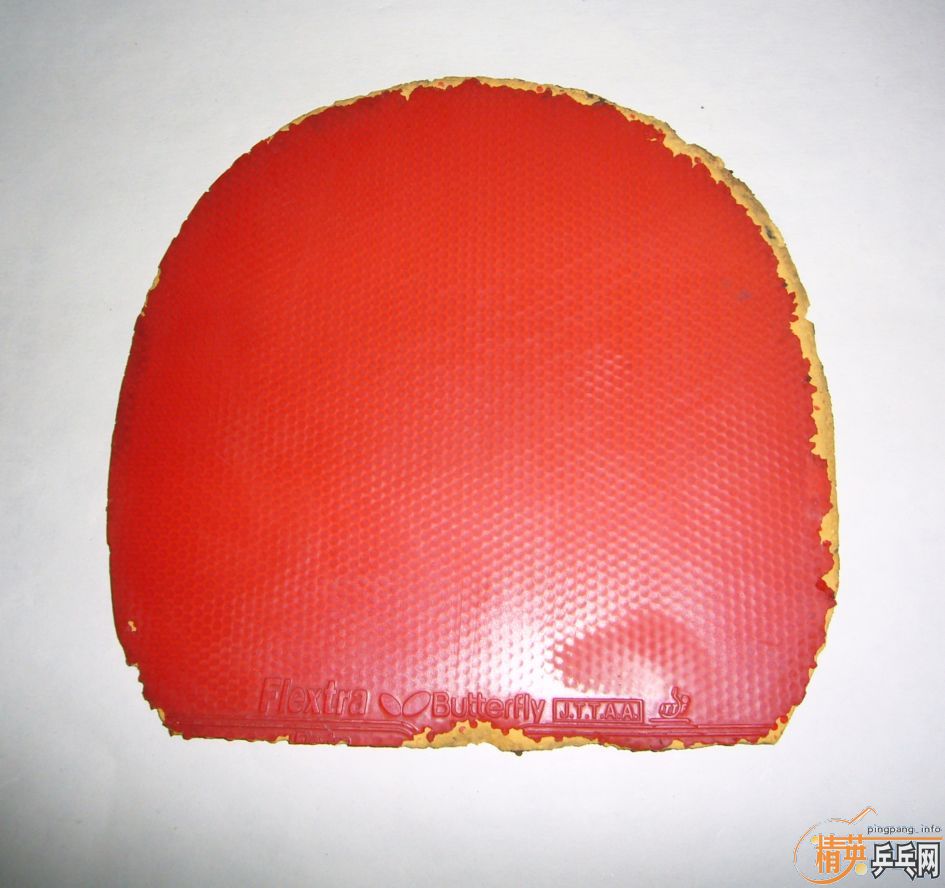 �������ƽ�Ƥ�������������������µ£�TNT��G666��������