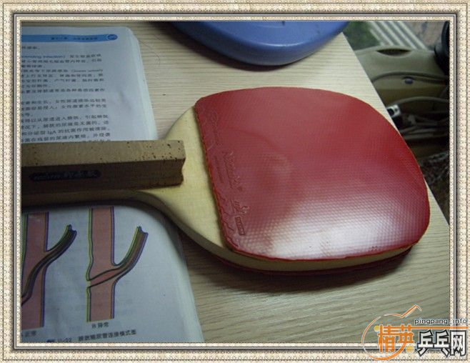 ���ѳ�ֻ ���׽���ע�������žɽ�Ƥ����