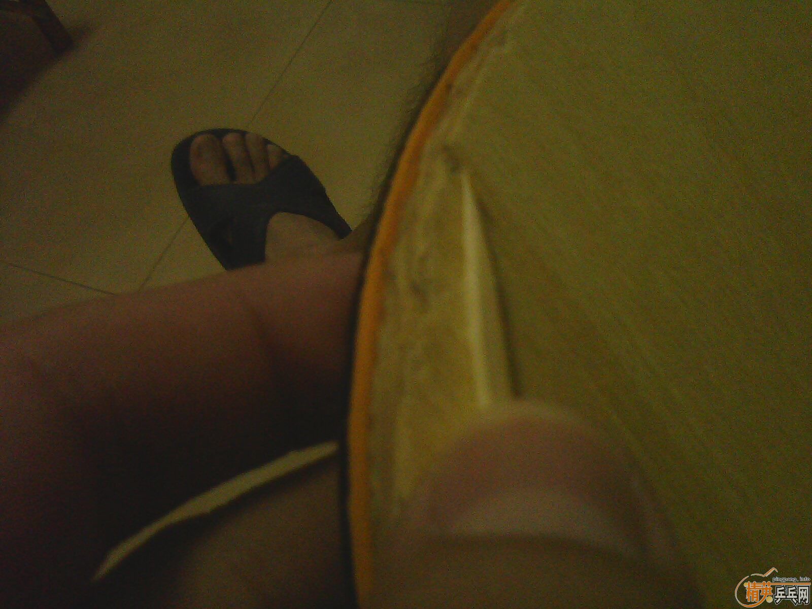 (��֧����)8���´��˰���NITTAKU R5 FL�����ִ���˽������ٳ�240��EMS��300��EMS��40�Ⱥ��켫2��42�Ⱥ�CJ8000