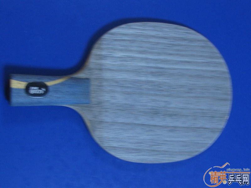 ��ĩ�������³�06����ж�������