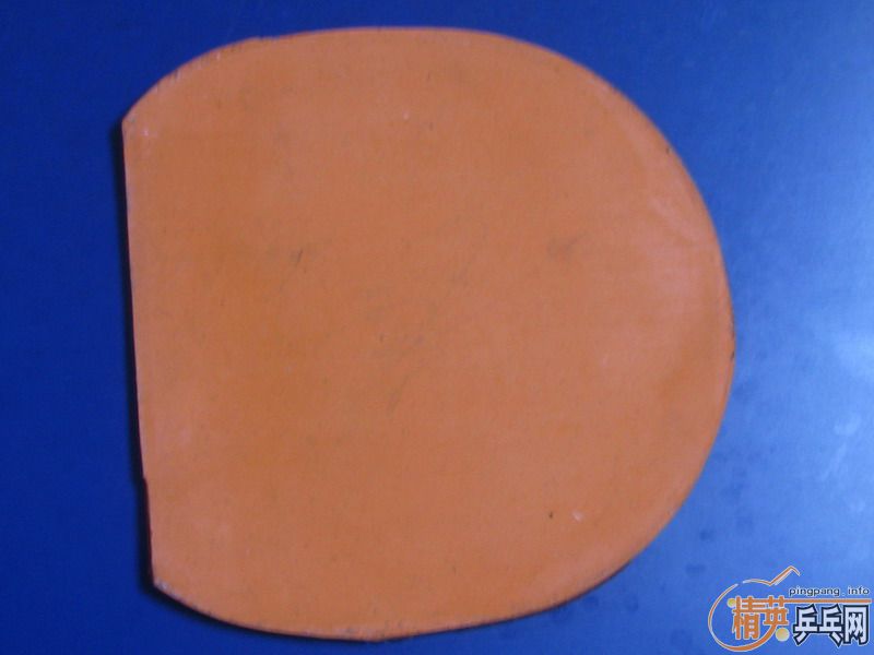 ��ĩ�������³�06����ж�������