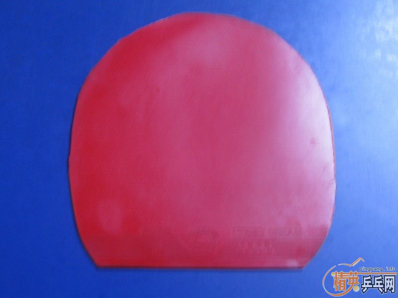 ��ĩ�������³�06����ж�������