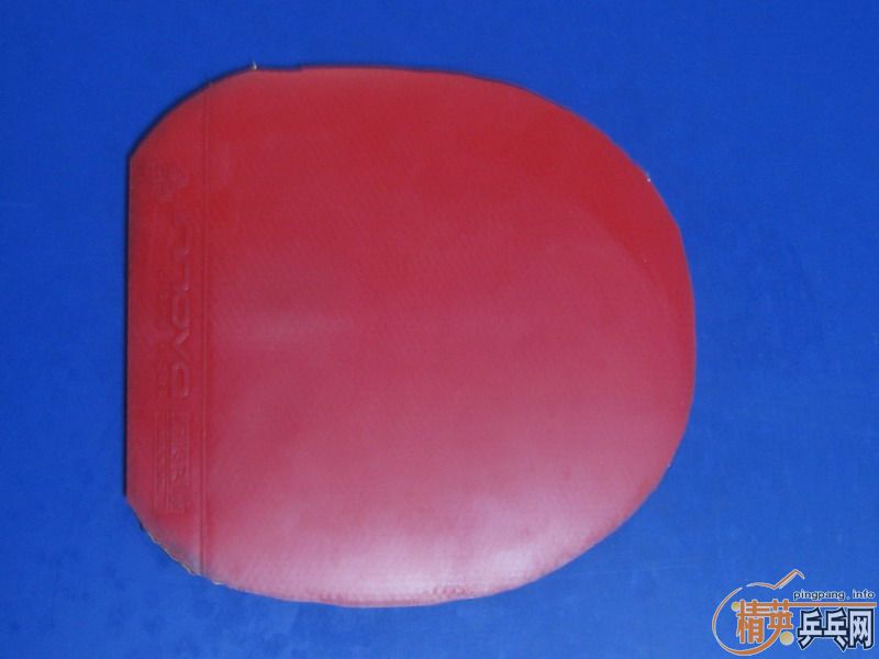 ��ĩ�������³�06����ж�������