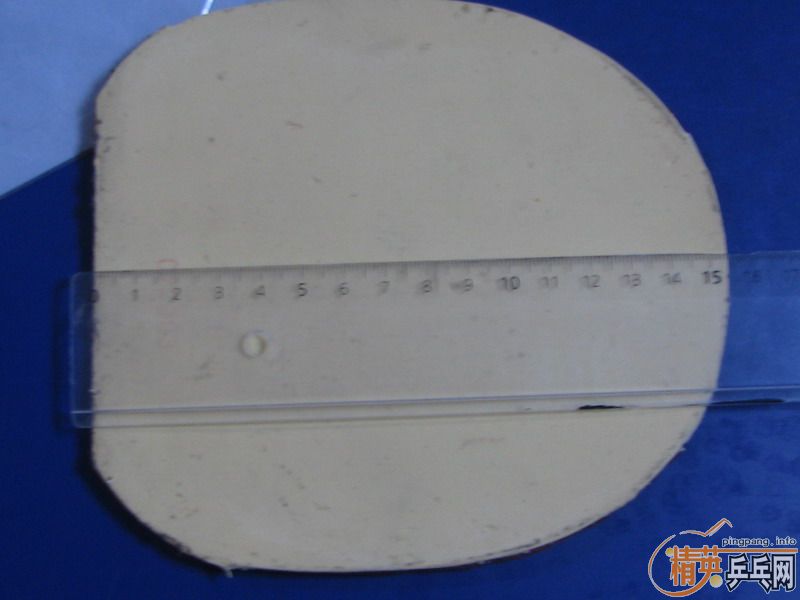 ��ĩ�������³�06����ж�������