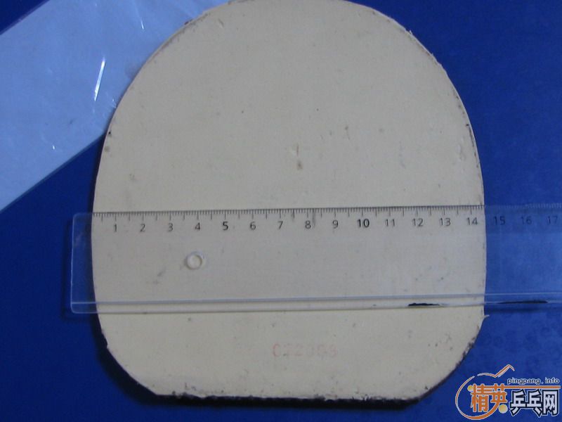 ��ĩ�������³�06����ж�������