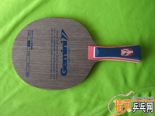 �����-˫����-Gemini