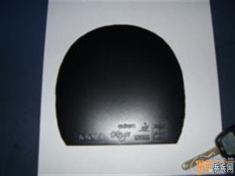 ���׾�Ʒjoola  tang(����̽�꣩