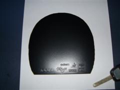 ���׾�Ʒjoola  tang(����̽�꣩