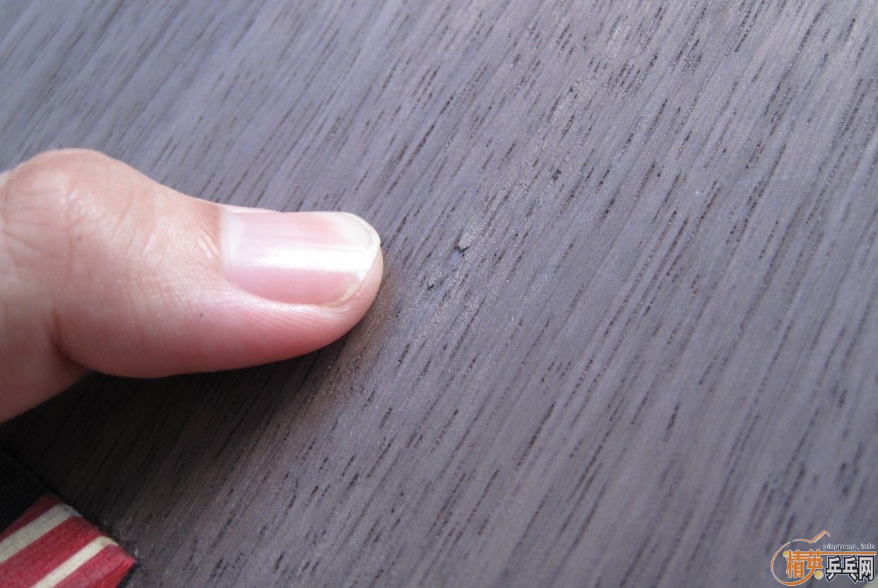 ��һ���л�˹�ٿ�TC����ɫ��