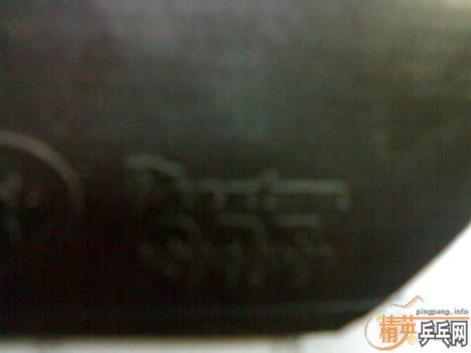 [ԭ��]���������ֱ!�ͼ۳�˹�ٿ����!����2024����E1��ͦ�ν�Ƥ